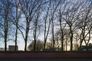 Rooi Hartenpark, Tilburg